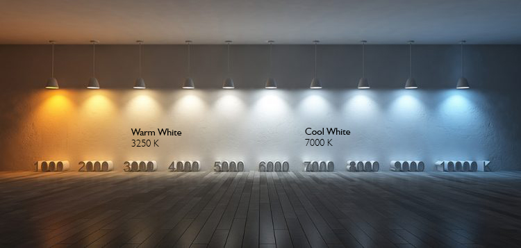cool white warm white oil colors why use them cool white warm white oil colors why use them
